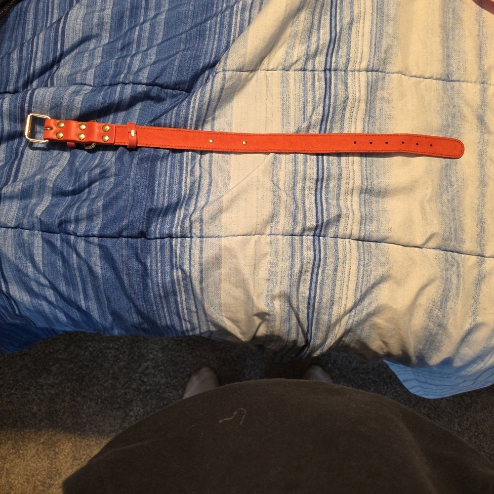 Orange Leather Dog Collar for Medium Large Dogs Pre Owned